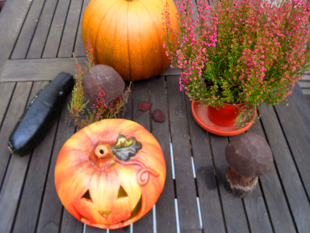 Halloween Kuerbis pumpkin