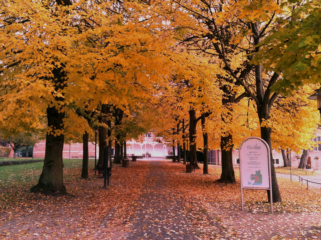 Goldener Herbst