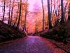 Herbst in Friedrichsruh