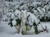 Esel im Schnee