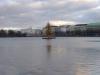 Weihnachtsbaum auf der Alster
