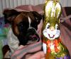 Osterhase mit Hund Osterhase mit Hund