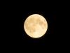 Mond Mond