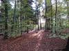 Herbstlaub Herbstlaub