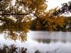 Herbst in Reinbek Herbst in Reinbek