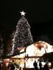Weihnachtsbaum Weihnachtsmarkt Moenckebergbrunnen Weihnachtsbaum Weihnachtsmarkt Moenckebergbrunnen
