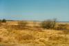 Schilfmeer Fanoe Schilfmeer Fanoe