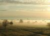 Nebel in Ostfriesland Nebel in Ostfriesland