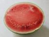 Melone Melone