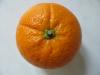 Orange Orange